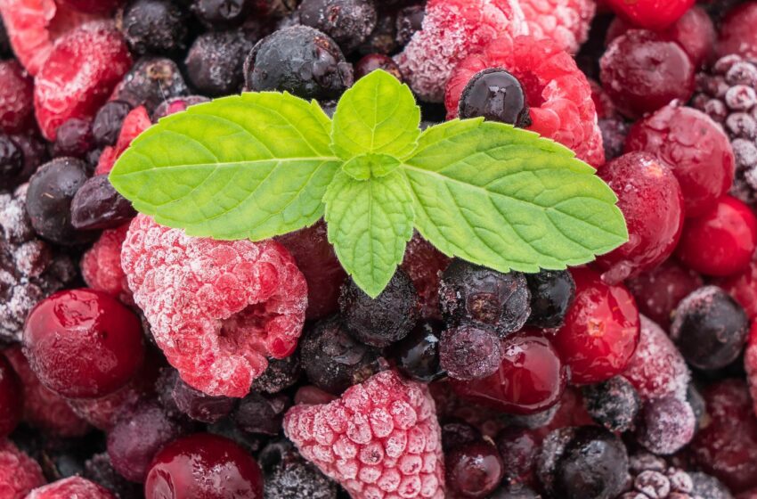  How to Select The Best Berries For Smoothies